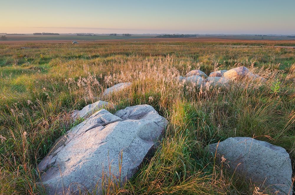 Boulders of quartzite in Touch the Sky Prairie-southwest-Minnesota art print by Alan Majchrowicz for $57.95 CAD